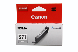 Canon Original - Tinte grau -  0389C001 von Canon