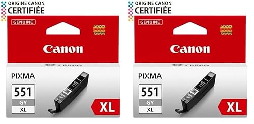 Canon Originaltinte CLI-551XL GY, Größe XL, Grau, Recyclebare Verpackung (Packung mit 2) von Canon
