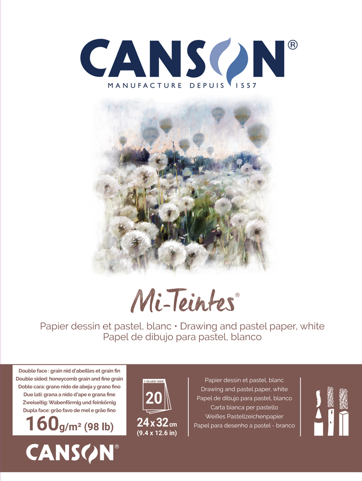 CANSON Zeichenpapier Mi-Teintes, im Block, 320 x 410 mm von Canson