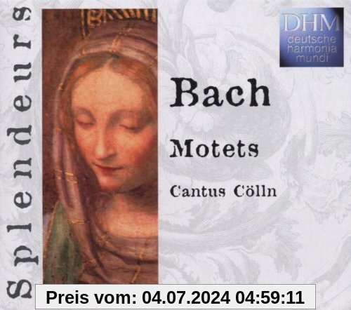Splendeurs: Motets von Cantus Cölln