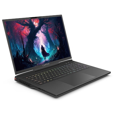 Captiva Highend Gaming I81-478 17,3" WQXGA i9-14900HX 16GB/1TBSSD RTX4070 Win 11 von Captiva