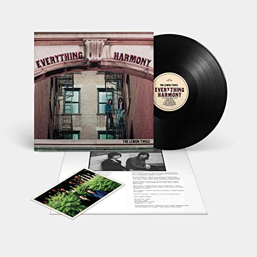 Everything Harmony [Vinyl LP] von Captured Tracks Rec.