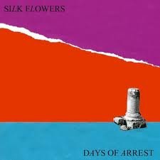 Days of Arrest [Vinyl LP] von Captured Tracks