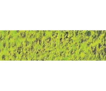 Caran d'Ache Pastel Pencil Farbstift Artist Farbstifte Bleistift/ 3 Stück/Pack - Farbe: 232 Moss Green 10% (788.232) von Caran d'Ache