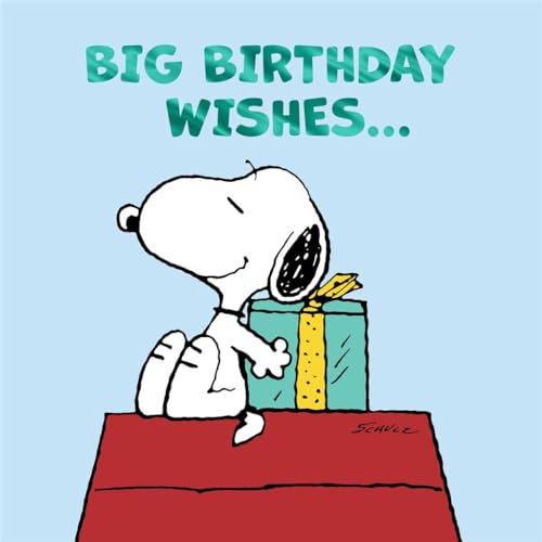 Cards Hallmark Peanuts Snoopy Birthday Big Birthday Wishes... von Cards