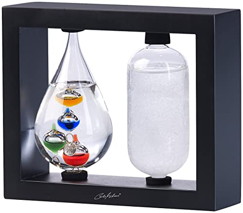 Carlo Milano Wetterglas: 2in1-Galileo-Thermometer & Sturmglas mit elegantem Holzrahmen, schwarz (Goethebarometer, Thermometer analog, Wetterstationen) von Carlo Milano