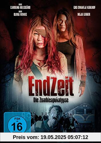 Endzeit Endzeit von Carolina Hellsgard