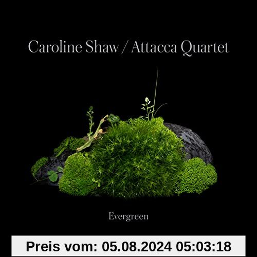 Caroline Shaw:Evergreen von Caroline Shaw