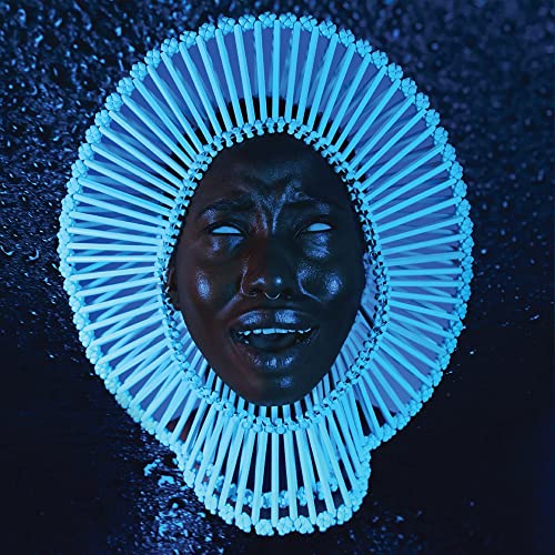 Awaken, My Love! [Vinyl LP] von Caroline