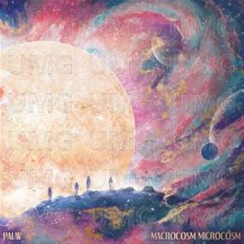 Macrocosm Microcosm [Vinyl LP] von Caroline