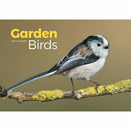 GARDEN BIRDS A4 CALENDAR 2024 von Carousel Calendars