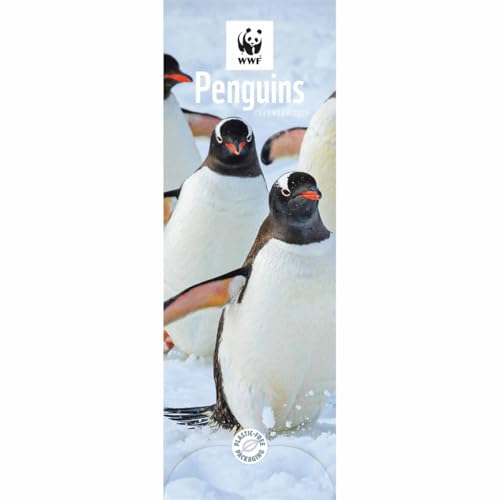 WWF Penguins Slim Calendar 2025 von Carousel Calendars