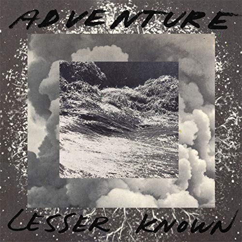 Lesser Known [Vinyl LP] von Carpark Records