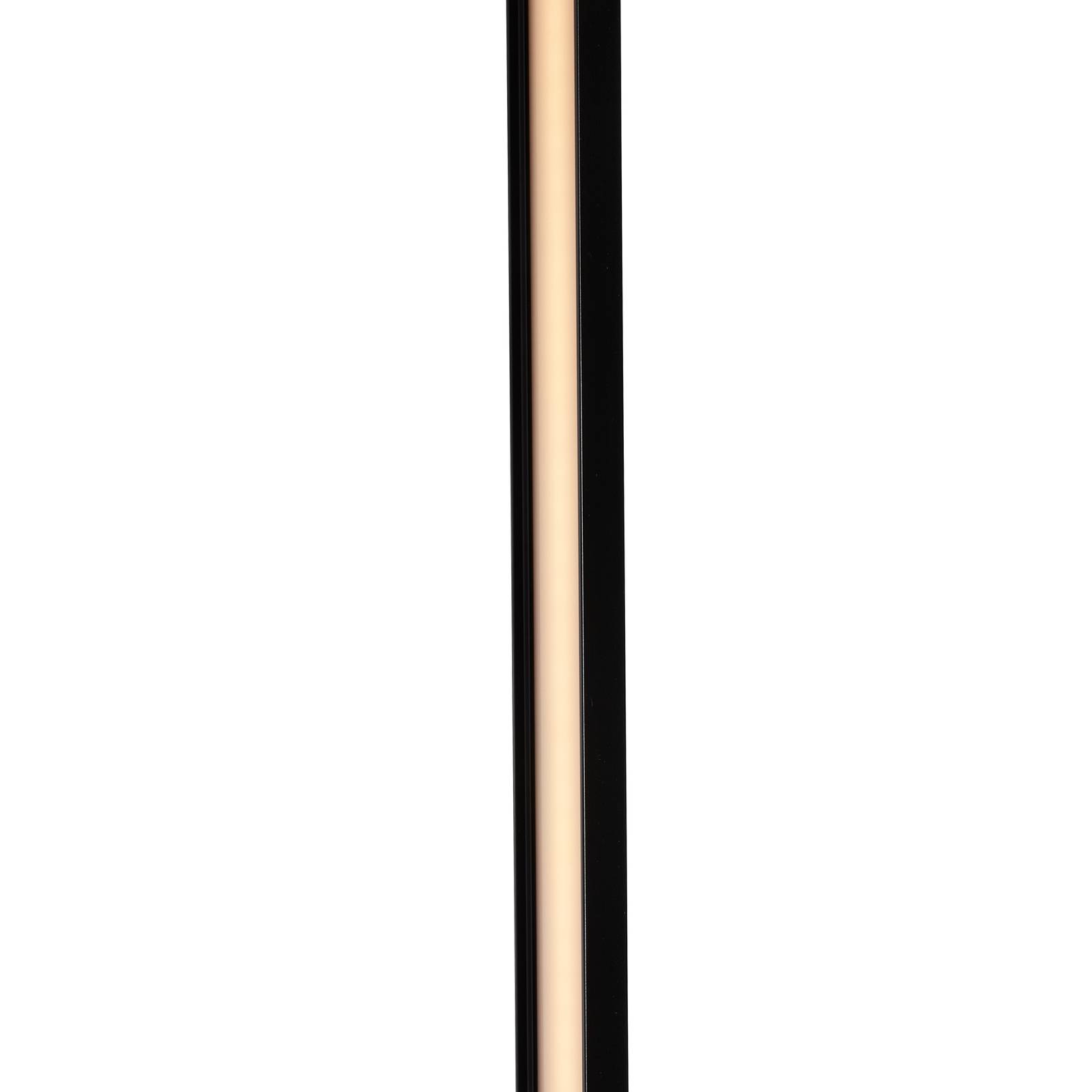 LED-Stehleuchte Lineal, Höhe 180 cm, schwarz LED-Stehleuchte Lineal, Höhe 180 cm, schwarz von Carpyen