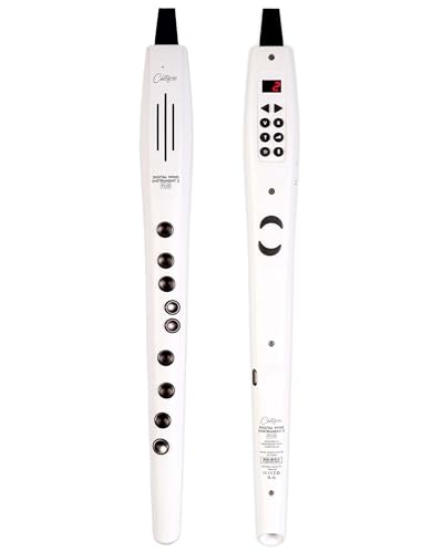 Carry-on Digitales Blasinstrument 2 Plus - 20 Stimmen, eingebauter USB-Akku, Kopfhörerausgang für lautloses Üben, Midi Over Bluetooth Digital Recorder Weiß von Carry-on