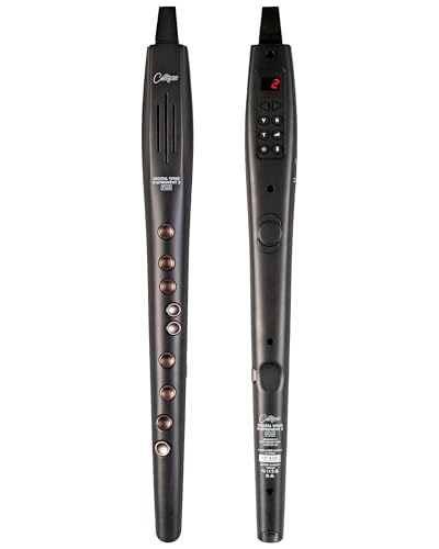 Carry-on Digitales Blasinstrument 2 Plus - 20 Stimmen, eingebauter USB-Akku, Kopfhörerausgang für lautloses Üben, Midi Over Bluetooth Digital Recorder schwarz von Carry-on