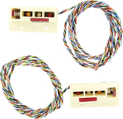 Carson Modellsport 907632 Ersatzteil 7,2/12V Rückleuchtenplatte FH16 Carson Modellsport 907632 Ersatzteil 7,2/12V Rückleuchtenplatte FH16 von Carson Modellsport