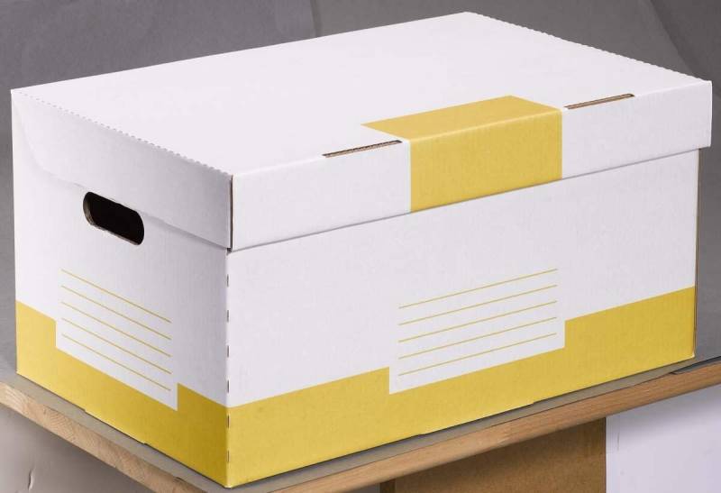 Cartonia Archivcontainer für individuelle Aufbewahrung 54,8 x 36,4 x 26,8 cm von Cartonia