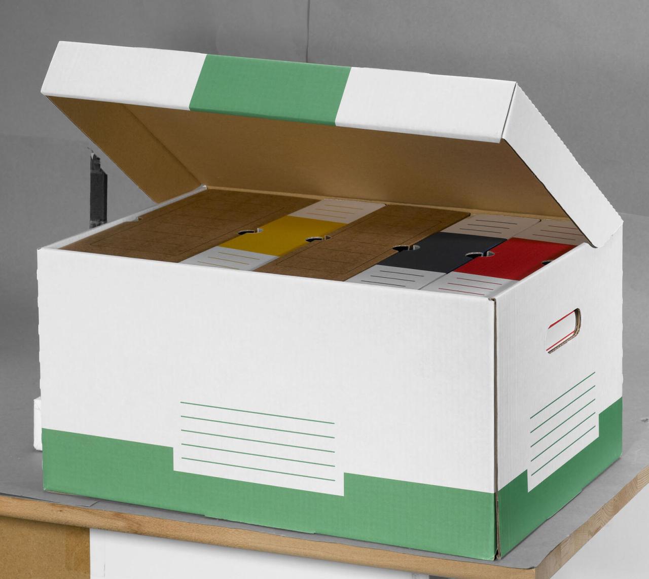 Cartonia Archivcontainer für individuelle Aufbewahrung 54,8 x 36,4 x 26,8 cm Cartonia Archivcontainer für individuelle Aufbewahrung 54,8 x 36,4 x 26,8 cm von Cartonia