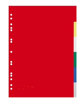Cartorel-Trennblätter 6-fach, A4, Pp, Monatspack von DXQ
