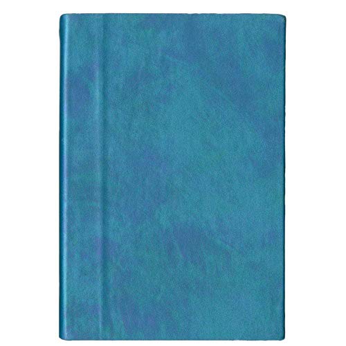 Caspari 95405 Tagebuch Liniert A5 Iridescent Blau von Caspari