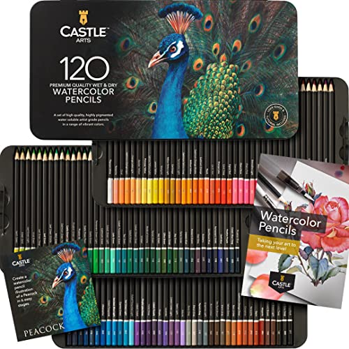 Castle Art Supplies 120 Aquarellstifte-Set | Leuchtende Pigmente | Zeichnen und Malen zugleich | Für fortgeschritten, professionelle Künstler I Geschützt und sortiert in einer Präsentationsbox von Castle Art Supplies