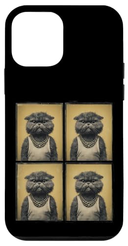 Vintage Photobooth Katze trägt Sonnenbrille und Anzug Hülle für iPhone 12 mini von Cat and Kitten Photograph Designs
