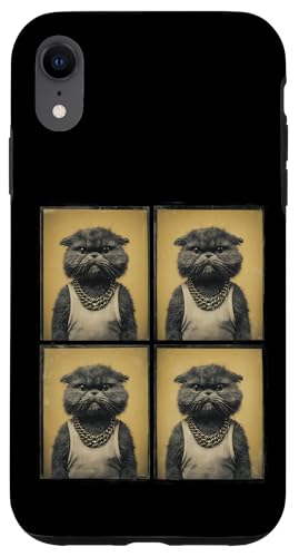 Vintage Photobooth Katze trägt Sonnenbrille und Anzug Hülle für iPhone XR von Cat and Kitten Photograph Designs