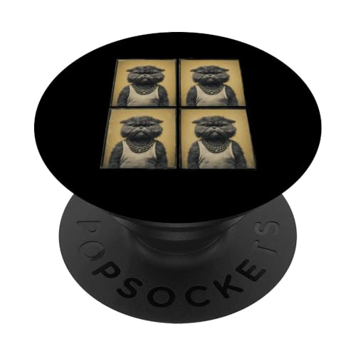 Vintage Photobooth Katze trägt Sonnenbrille und Anzug PopSockets Klebender PopGrip Vintage Photobooth Katze trägt Sonnenbrille und Anzug PopSockets Klebender PopGrip von Cat and Kitten Photograph Designs