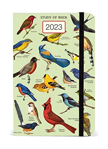 Cavallini 2023 Weekly Planner, Vintage Study of Birds (AG2023/BRD) von Cavallini Papers & Co.
