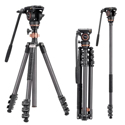 Cayer CF2451 67 Zoll Kohlefaser-Videostativ mit Fluid Drag Head, kompaktes 4-teiliges DSLR-Stativ, umwandelbar in Einbeinstativ, für Canon Nikon Sony DSLR-Kamera von Cayer