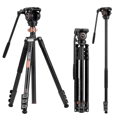 Cayer FP2450 Fluid Head Tripod, 75 Zoll Aluminium Video Stativ, 4-Sektion Kompaktes Kamerastativ umwandelbar in EIN Einbeinstativ für DSLR Kamera, Belastbarkeit bis zu 13,2 Pfund Cayer FP2450 Fluid Head Tripod, 75 Zoll Aluminium Video Stativ, 4-Sektion Kompaktes Kamerastativ umwandelbar in EIN Einbeinstativ für DSLR Kamera, Belastbarkeit bis zu 13,2 Pfund von Cayer