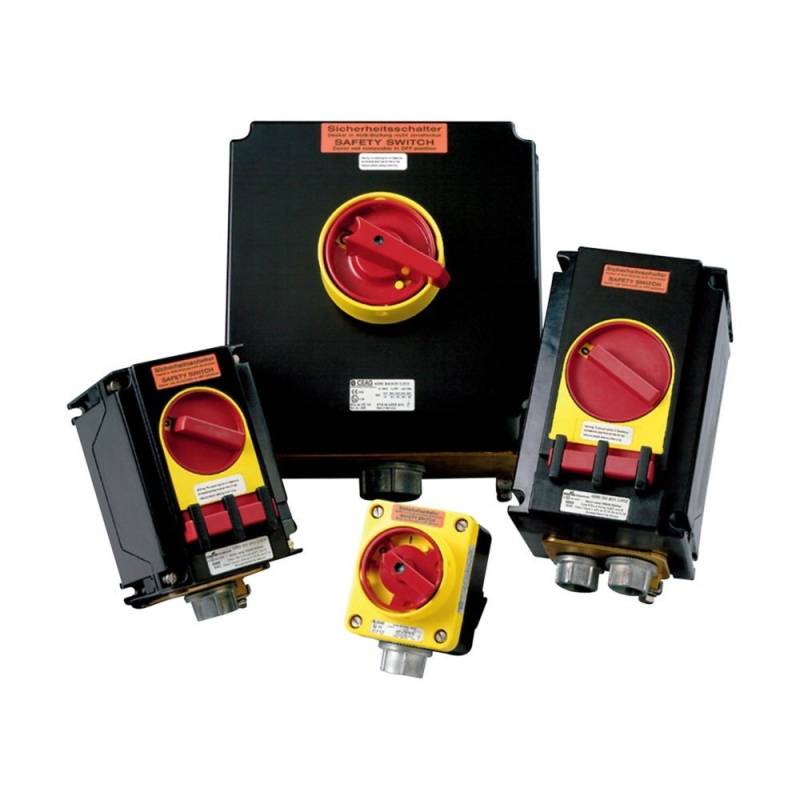 Ceag Sicherheitst. Sicherheitsschalter GHG 262 2301 R0001 GHG2622301R0001 von Ceag Sicherheitst.