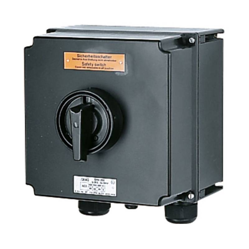 Ceag Sicherheitst. Sicherheitsschalter GHG 264 0020 R0001 GHG2640020R0001 von Ceag Sicherheitst.