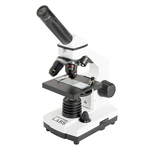 Celestron 44128 CL-CM800 Compound Microscope, 40x-800x Magnification, White von Celestron
