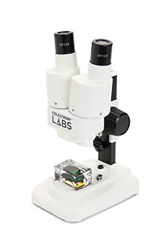 Celestron 44207 CL-S20 Stereo Microscope, 20x Magnification, White von Celestron