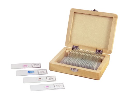 Celestron 44410 Prepared Microscope Slide Box, 25 Piece Set in Wooden Case, Light Brown von Celestron