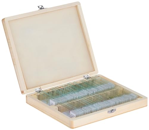 Celestron 44412 Prepared Microscope Slide Box, 100 Piece Set in Wooden Case, Light Brown von Celestron