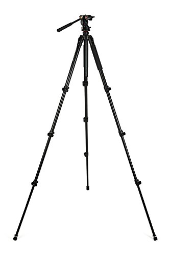 Celestron 82052 Regal Premium Stativ für Spektive, Ferngläser, Kameras und kleine Teleskope, Schwarz von Celestron