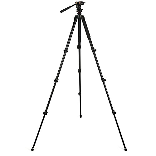 Celestron 82052 Regal Premium Stativ für Spektive, Ferngläser, Kameras und kleine Teleskope, Schwarz Celestron 82052 Regal Premium Stativ für Spektive, Ferngläser, Kameras und kleine Teleskope, Schwarz von Celestron