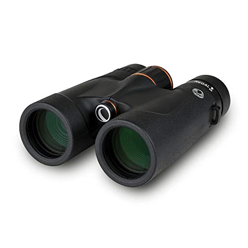 Celestron 71391 Regal ED 10x42 Fernglas für Natur- und Vogelbeobachtungen, phasen- und dielektrisch beschichtete BaK-4-Prismen, vollvergütete Linsen, Nahfokus von 2,5 m von Celestron