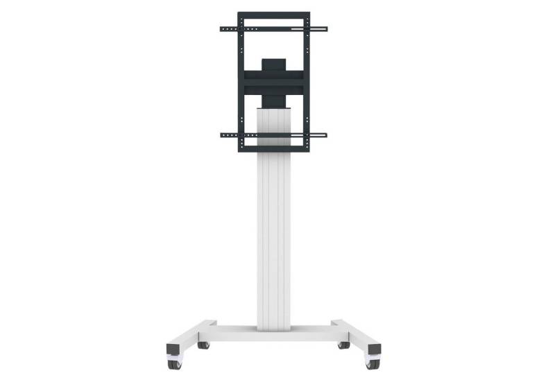 Celexon Display-Rollwagen Fixed-42100M-LP Monitorständer, (bis 100 Zoll, 90° drehbar, max VESA 800 x 600, silber) von Celexon