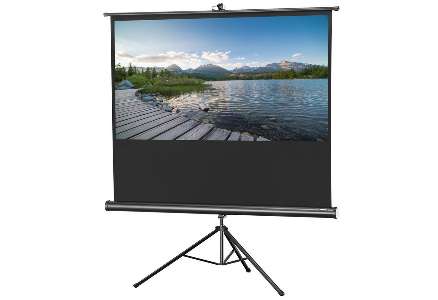 Celexon Economy Stativleinwand (219 x 123cm, 16:9, Gain 1) von Celexon