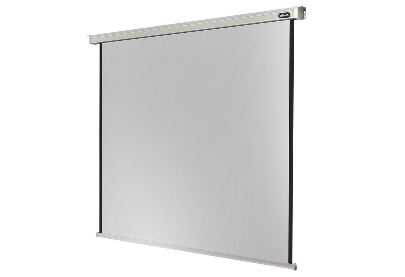 Celexon Professional Motorleinwand (schwarze Rückseite) von Celexon