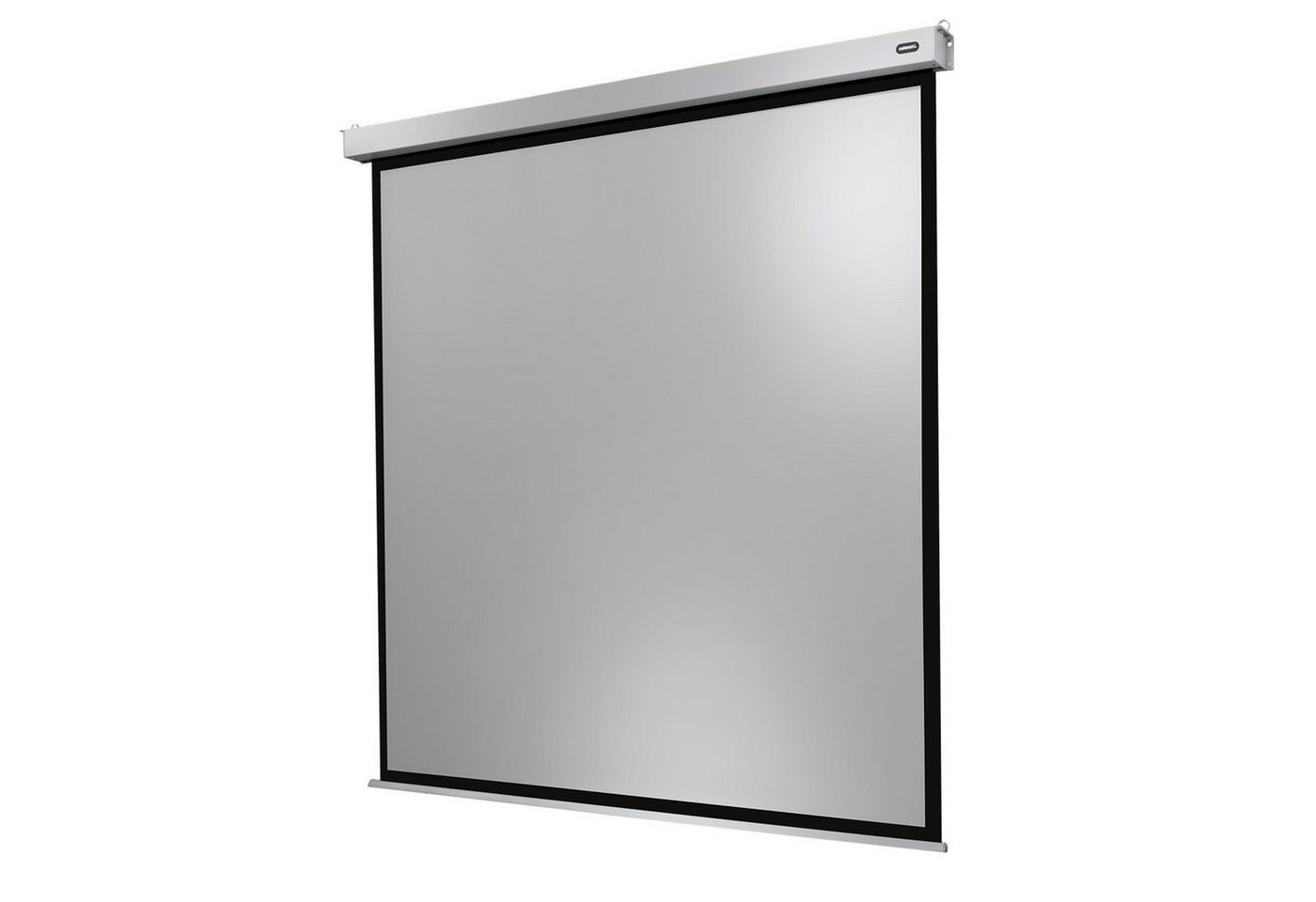 Celexon Professional Plus Motorleinwand (schwarze Rückseite) von Celexon