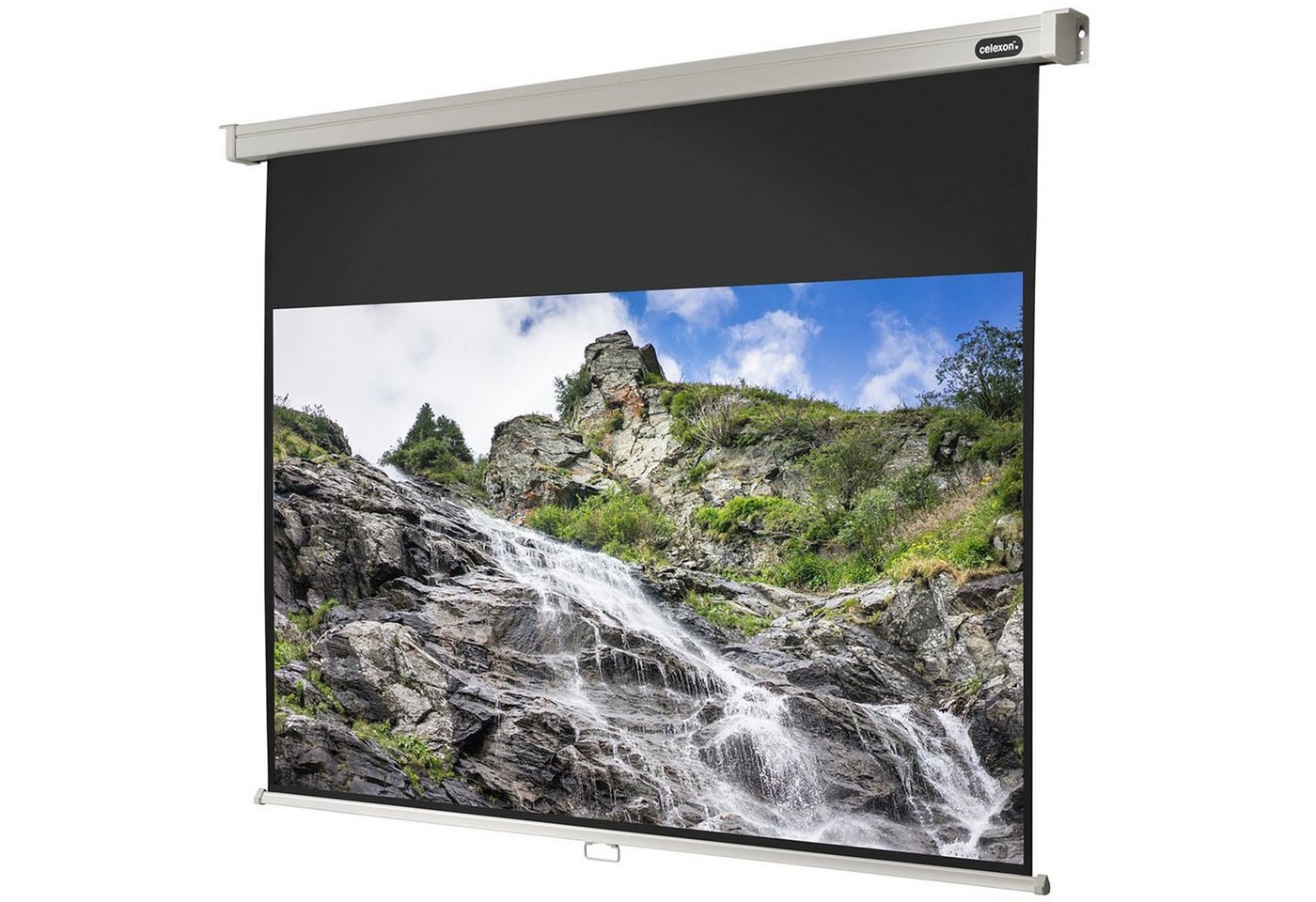 Celexon Professional Rolloleinwand (schwarze Rückseite) von Celexon