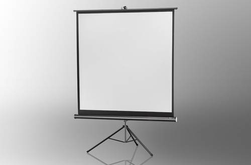 Celexon Stativ Economy 1090015 Stativleinwand 158 x 158cm Bildformat: 1:1 von Celexon