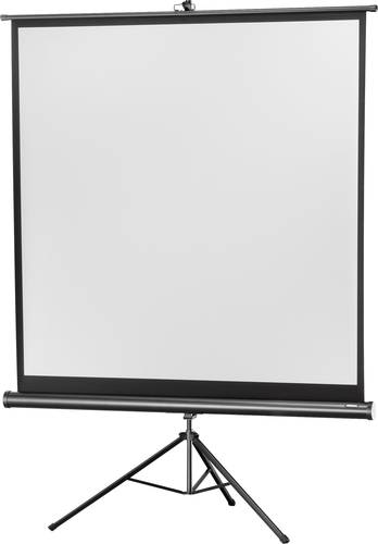 Celexon Stativ Economy 1090017 Stativleinwand 219 x 219cm Bildformat: 1:1 von Celexon