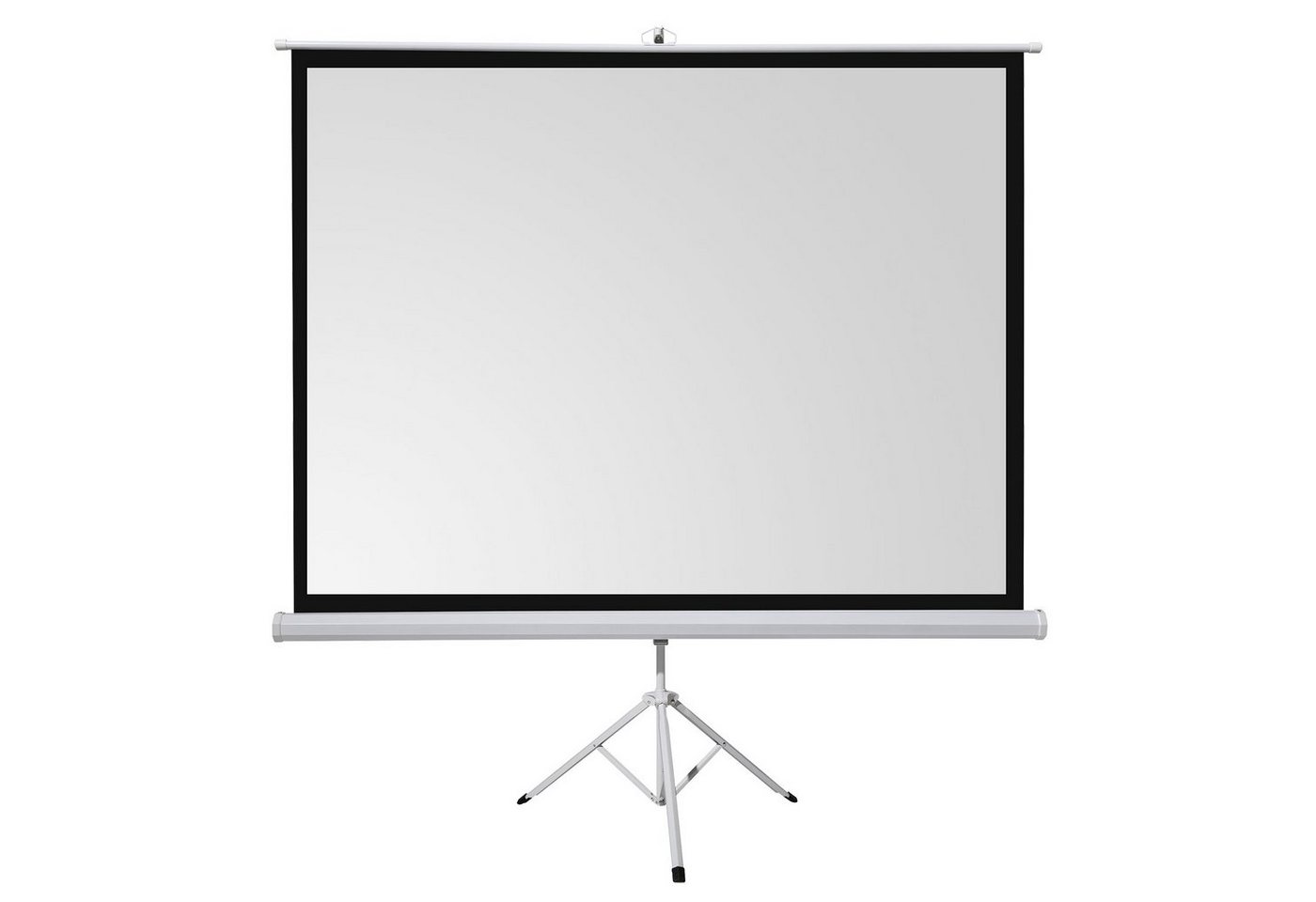 Celexon basic line Stativleinwand (220 x 220cm, 1:1, Gain 1,5) von Celexon