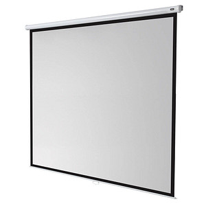 celexon Rolloleinwand Economy 1:1, 280 x 280 cm Projektionsfläche celexon Rolloleinwand Economy 1:1, 280 x 280 cm Projektionsfläche von Celexon